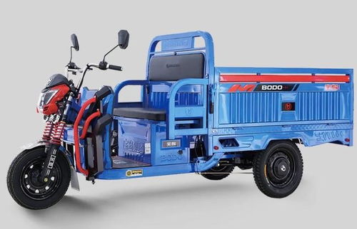 2款重型電動三輪車來了 做工扎實超耐用，大車廂能裝2000斤，人力三輪車組裝首選